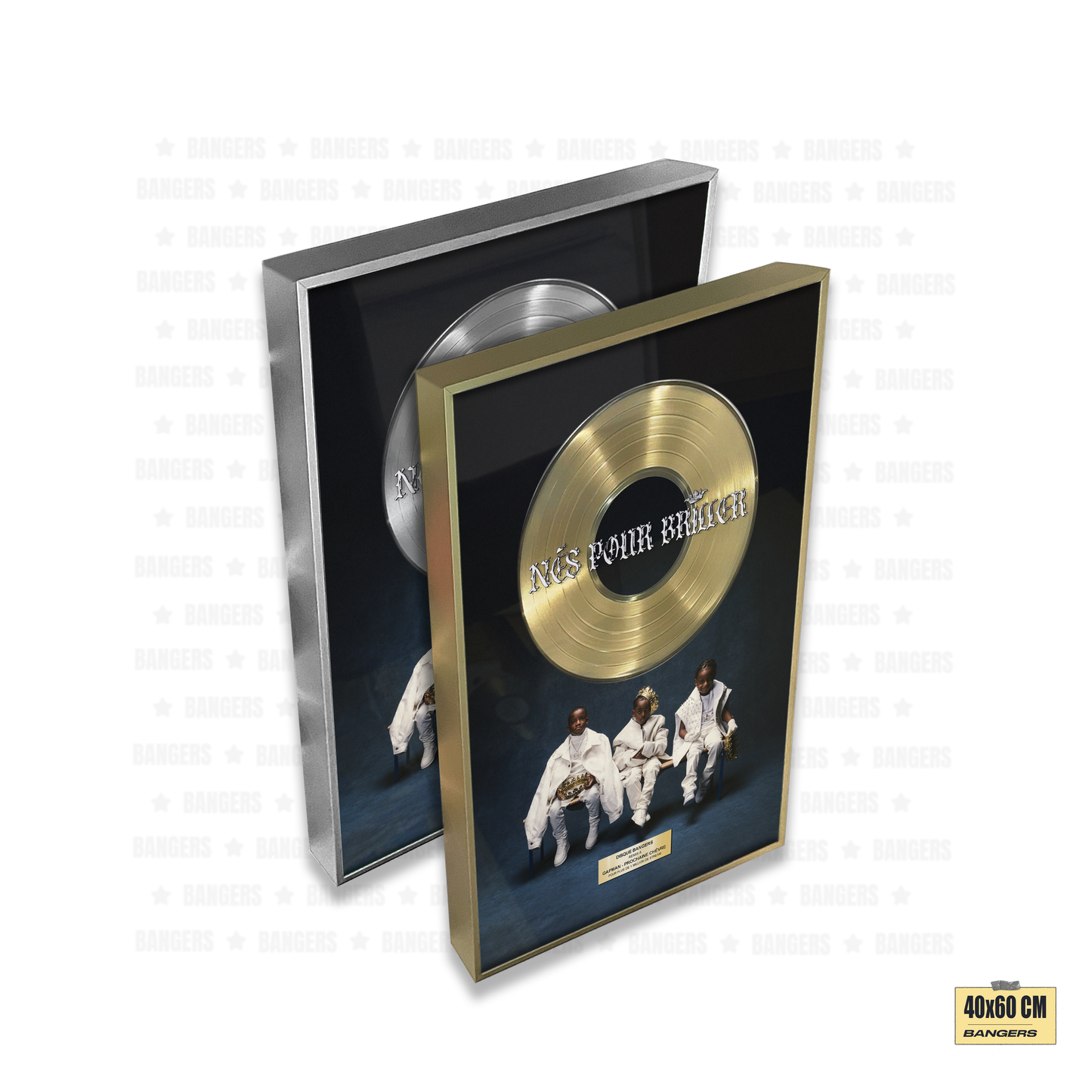 L2B - Nés Pour Briller : Book I