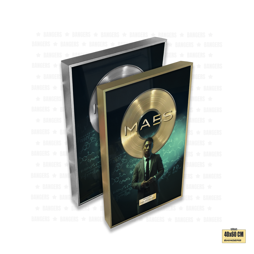 Maes - REEL VIE 3.0