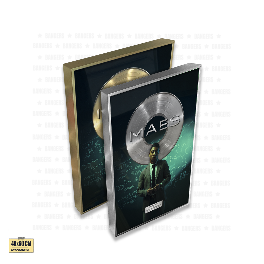 Maes - REEL VIE 3.0
