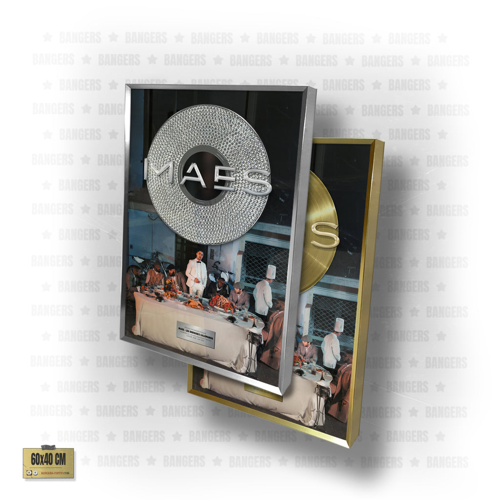 Maes - LES DERNIERS SALOPARDS