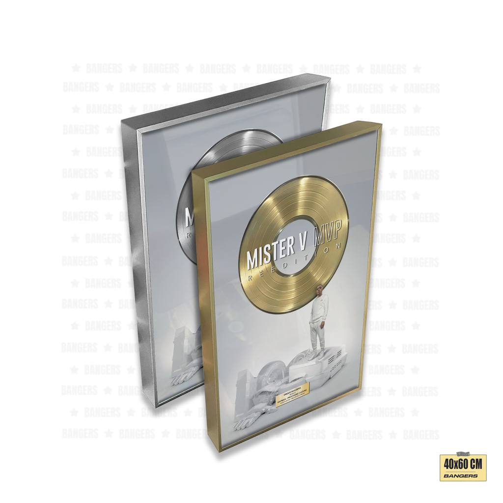 Mister V - MVP REEDITION