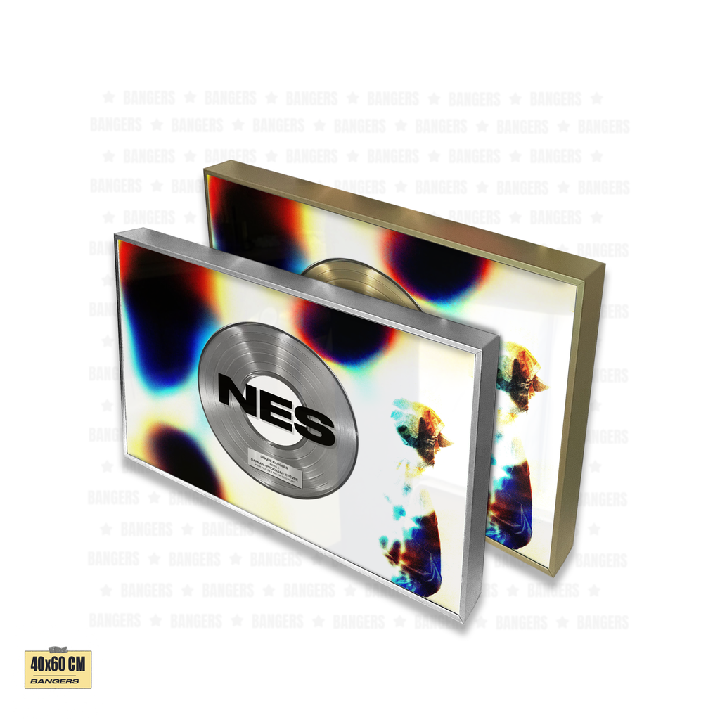 NES - LA COURSE