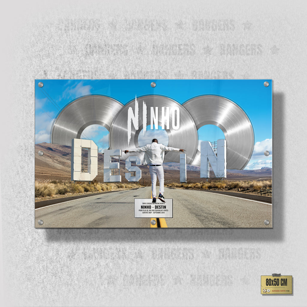Ninho - DESTIN
