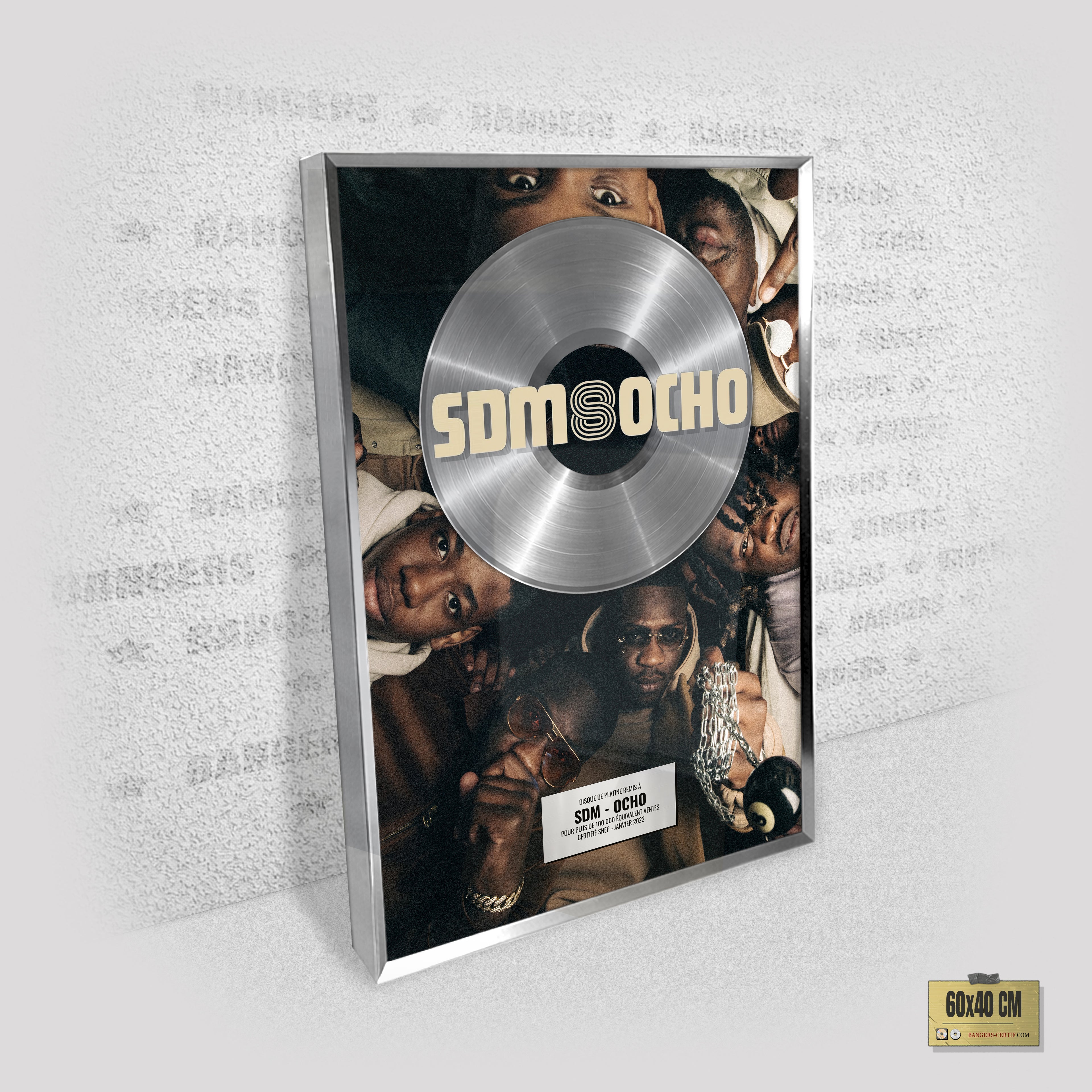 SDM - OCHO