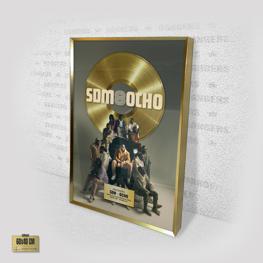 SDM - OCHO
