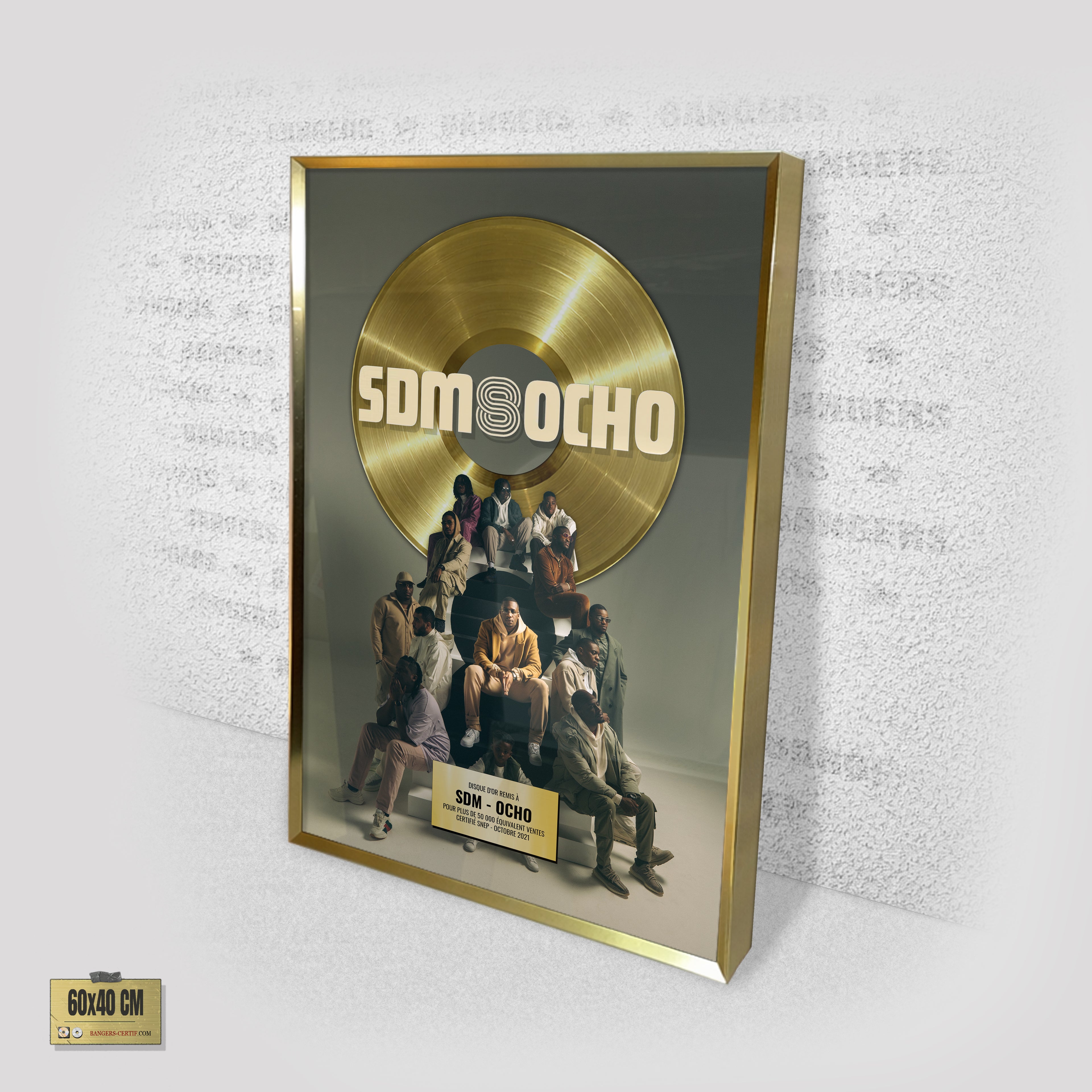 SDM - OCHO
